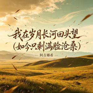 我在岁月长河回头望（如今只剩满脸沧桑）