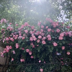 时代在进步少年追少妇