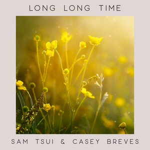 Long Long Time (Acoustic Duet)