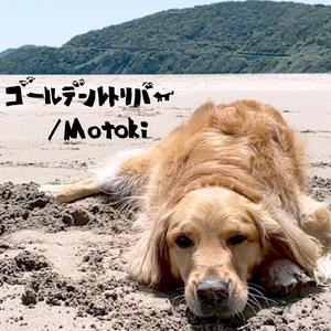 ゴールデンレトリバー