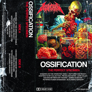 Seizures On The Operating Table