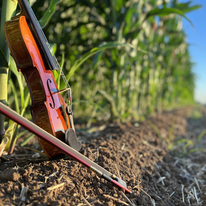 על פרשת דרכים