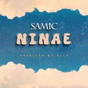 NINAE