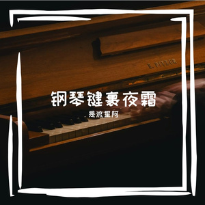 钢琴键裹夜霜