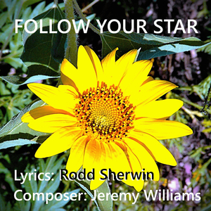 Follow Your Star