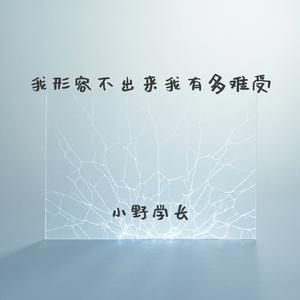 我形容不出来我有多难受