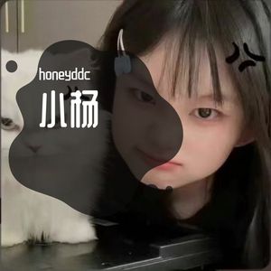 Y(Prod by Lisure)