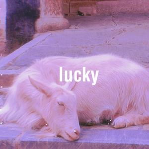 幸运的lucky