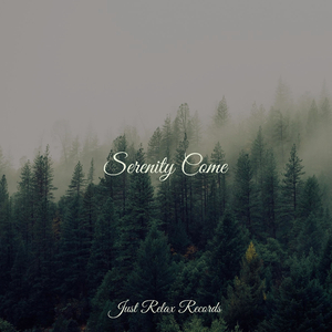 Melodic Solace Under Sunbeams