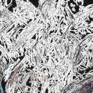 Comadream Snow Stripper