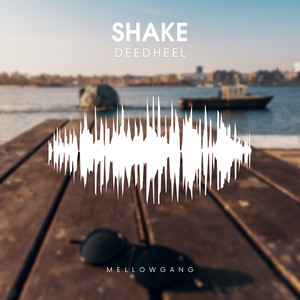 Shake (Original Mix)