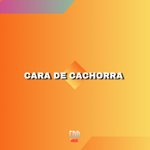 CARA DE CACHORRA