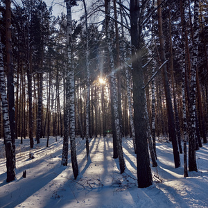 Нечего сказать