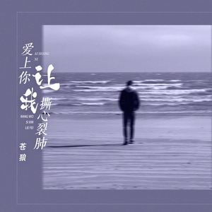 爱上你让我撕心裂肺