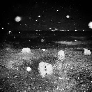 [FREE] Jelly R7 -JayChou Type Beat