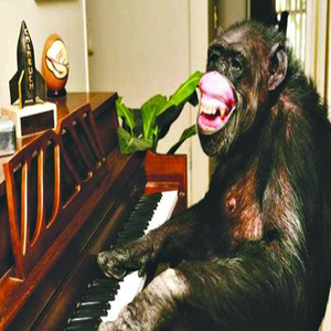 钢琴小品之八--我爱世界杯