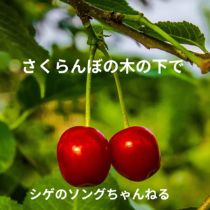 さくらんぼの木の下で