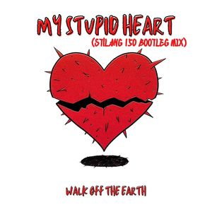 My Stupid Heart (ST!LANG 150 BOOTLEG MIX)