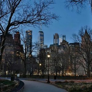 而我是个造梦者