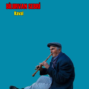 Bilur