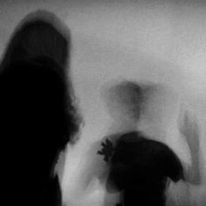 红利群(抖音原版)