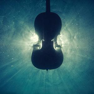 Der Neujahrsglückwunsch