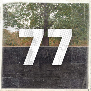 77