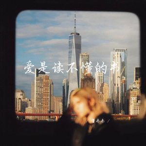 爱是读不懂的书