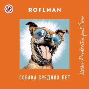 Собака средних лет