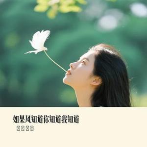 如果风知道你知道我知道