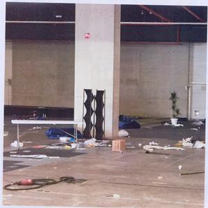 Zebra Crossing Interlude