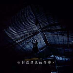 离心力（翻自 杨乃文）