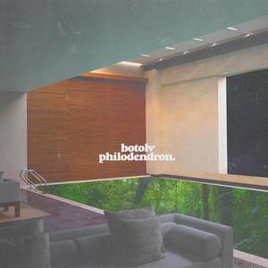 Philodendron