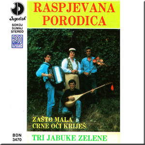 U Njemacku kad sam polazio