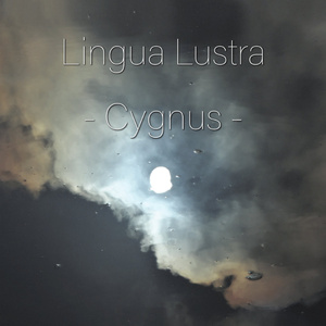 Ancient Lights pt. 11 (Album Version)