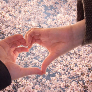 봄이 된 이유 (feat. SE O (세오))