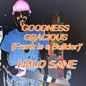 GOODNESS GRACIOUS (Frank is a Builder)