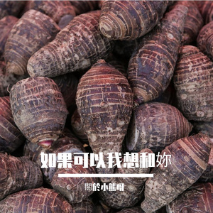 如果可以我想和妳