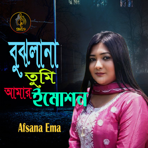 Bujhlana Tumi Amar Emotion