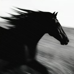 我们像候鸟 错过了季节