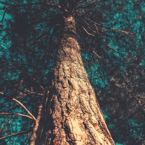 柔和的1小时按摩时刻