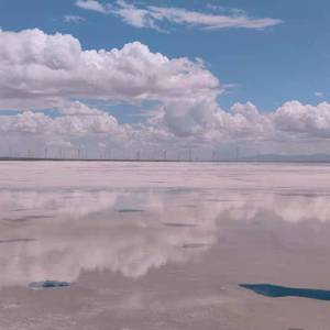 旅途中随笔_金予