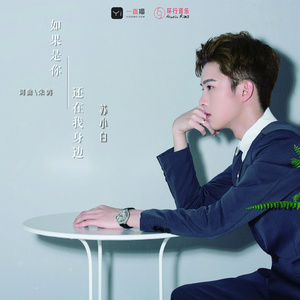 如果是你还在我身边