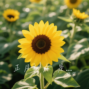 正月初九 是个好日子