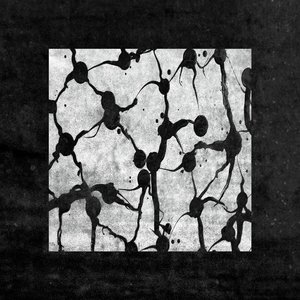 Synapse