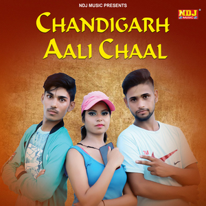 Chandigarh Aali Chaal
