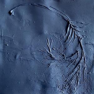 Let Me Tie Your Nikes