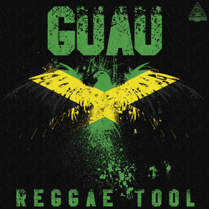 Reggae Tool (Original Mix)