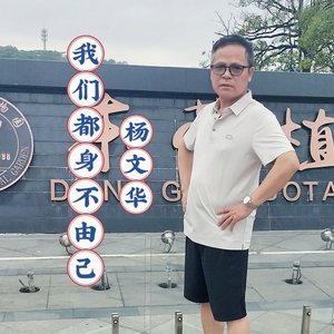 我们都身不由己-杨文华.wav