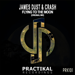 Flying To The Moon (Original Mix)